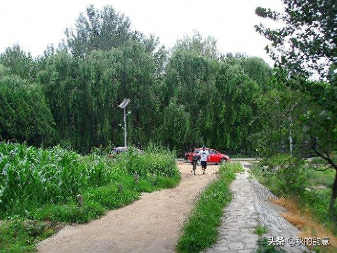 潮白河森林公园经过2004—2006年建设，占地2.5万亩，植树219万株