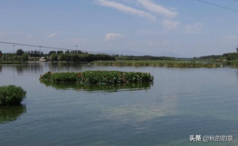 潮白河森林公园经过2004—2006年建设，占地2.5万亩，植树219万株