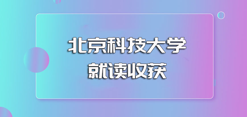 2024年今晚开特马,挫辱精选解释落实_app37.3.87